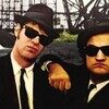 The Blues Brothers CARS 4 (3)