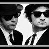 The Blues Brothers CARS 4 (4)
